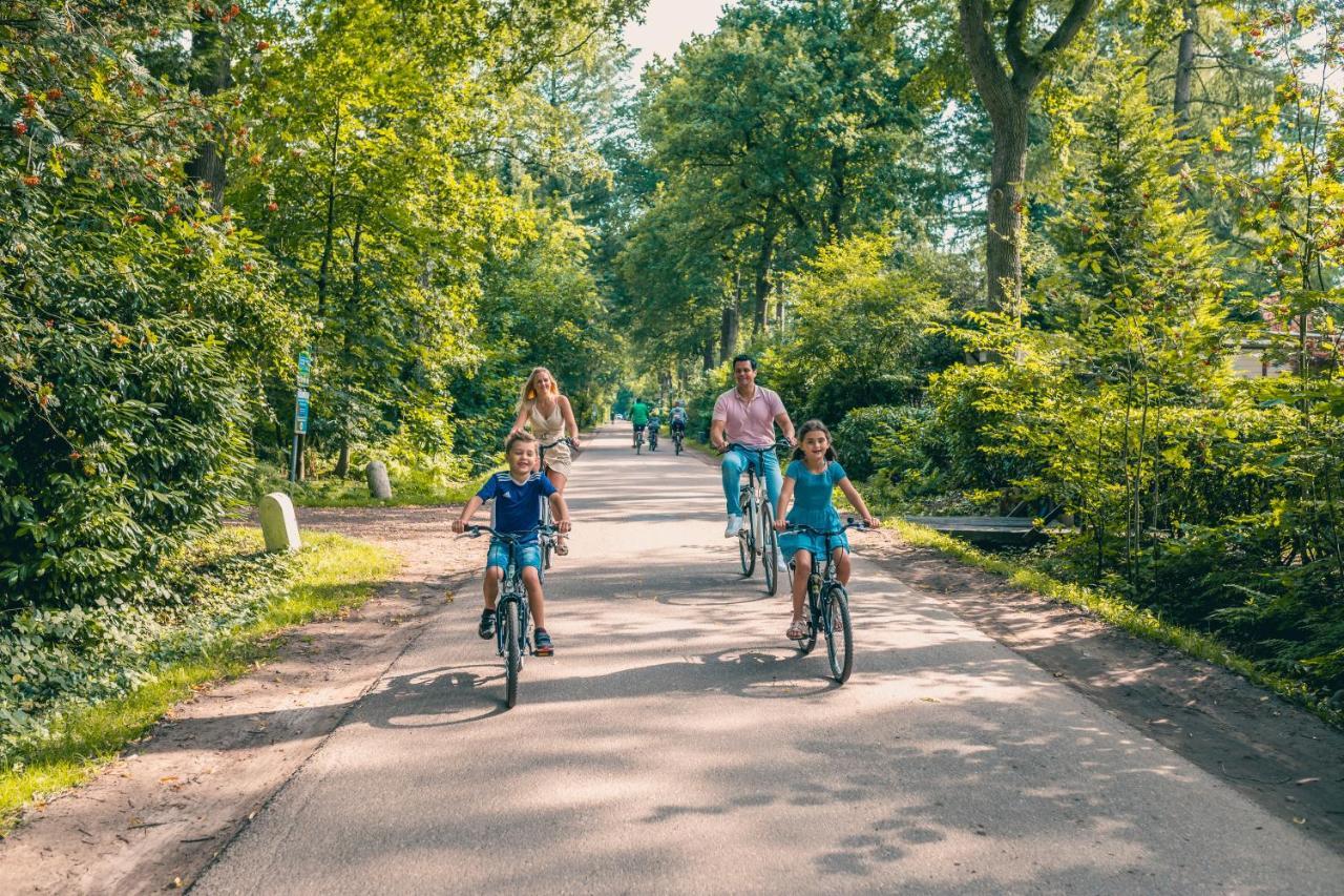 Europarcs De Utrechtse Heuvelrug * Maarn